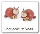 Coccinella salvadanaio